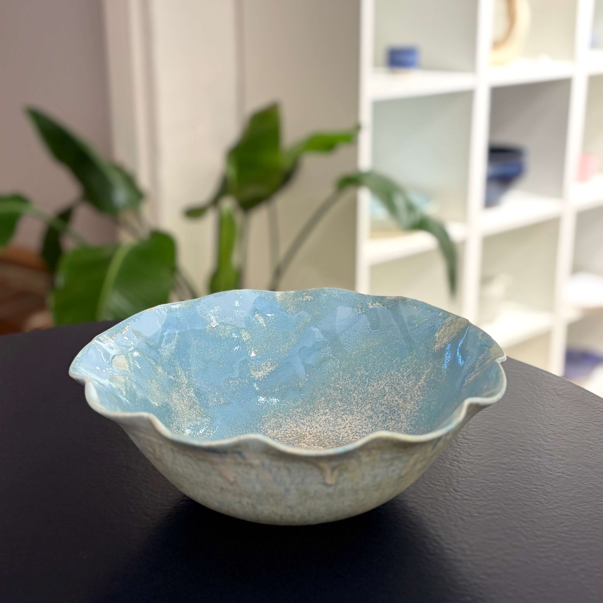 Kystblå Bølgeskål